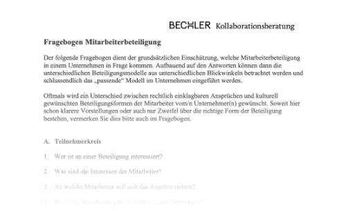 Fragebogen Mitarbeiterbeteiligung